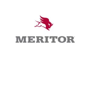MERITOR